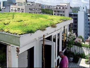 Jardim sobre cobertura de apartamento
